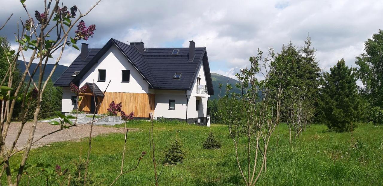 Pod Wielka Zalesiona Gora Wetlina Buitenkant foto