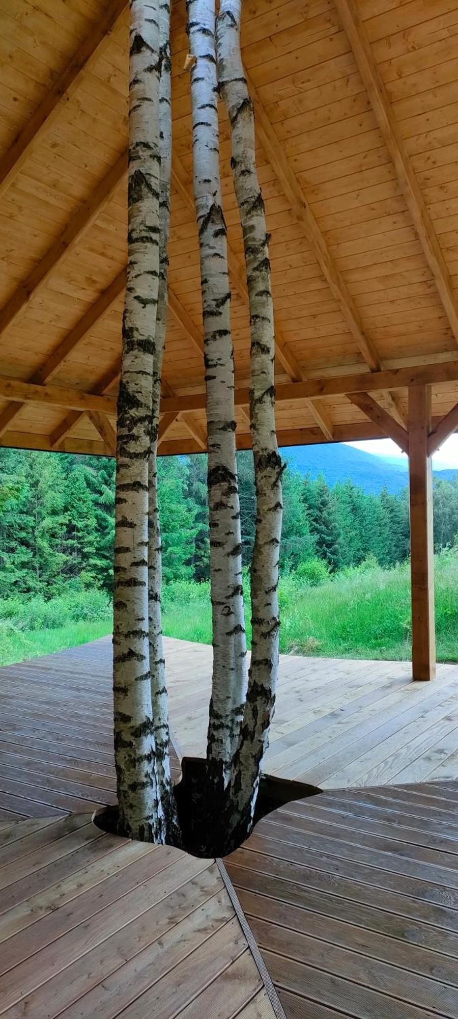 Pod Wielka Zalesiona Gora Wetlina Buitenkant foto
